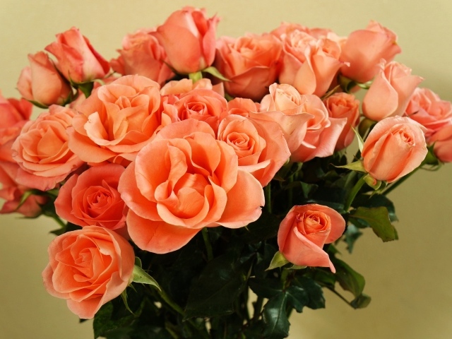 Огромный букет оранжевых роз крупным планом