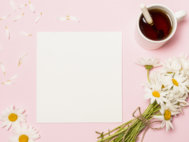 Розовый фон с ромашками, чашкой чая и белым листом бумаги, шаблон