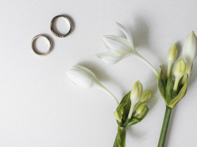 Два оручальных кольца с цветами на сером фоне