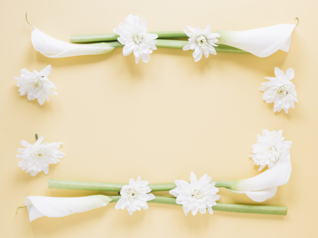 Белые каллы с хризантемами на желтом фоне