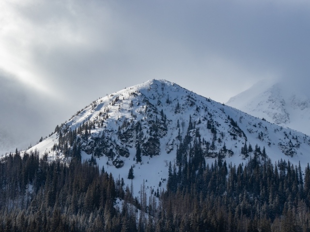 Высокая заснеженная гора под пасмурным небом
