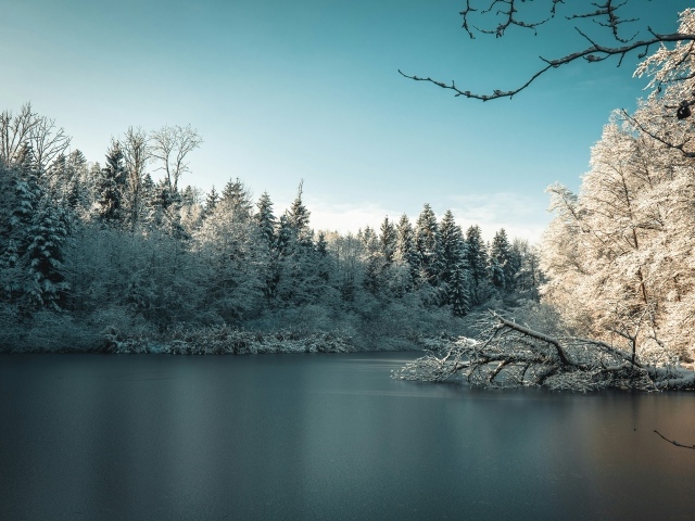 Красивый вид на заледеневшее озеро с заснеженными деревьями
