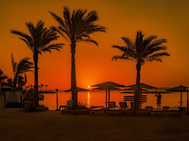 Закат солнца над морем на фоне пальм