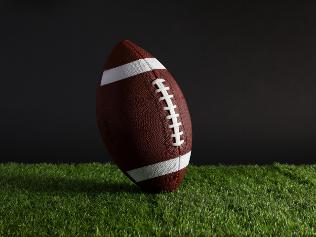 Кожаный мяч для американского футбола на зеленой траве