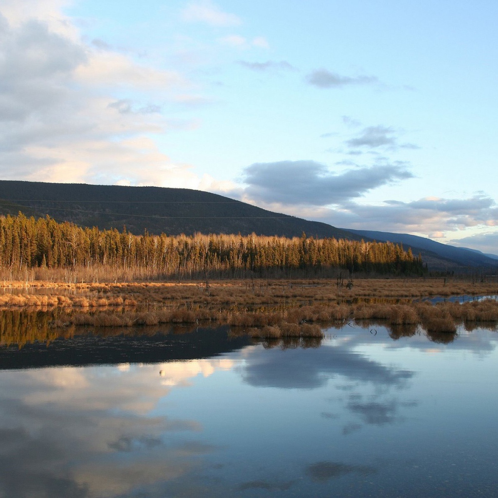 Поздняя осень