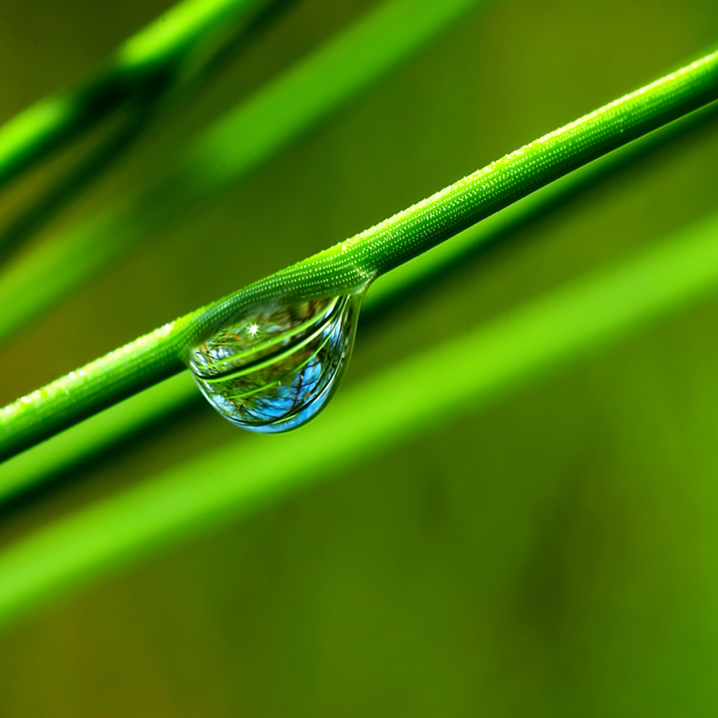 Windows Vista - обои на рабочий стол