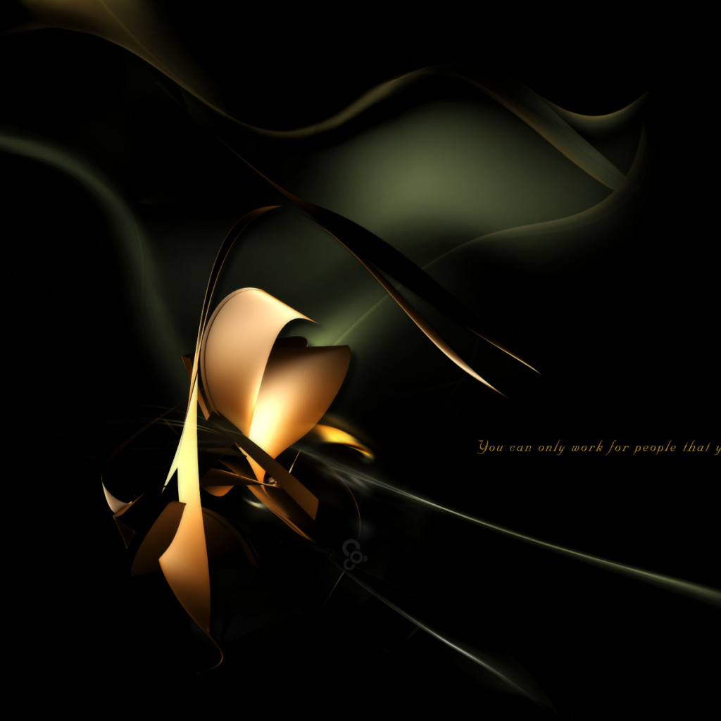 Черная вспышка