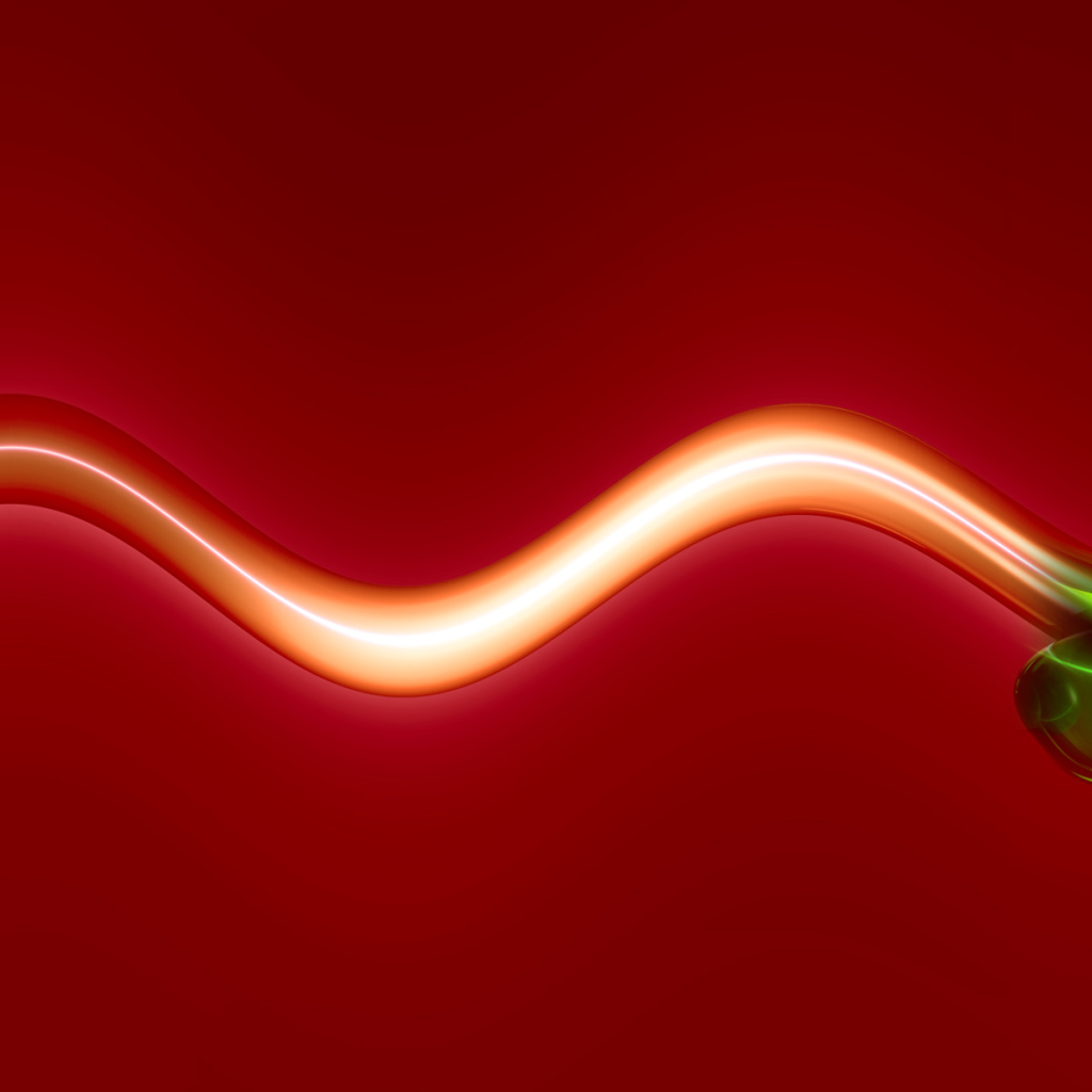 Охотник за яйцами