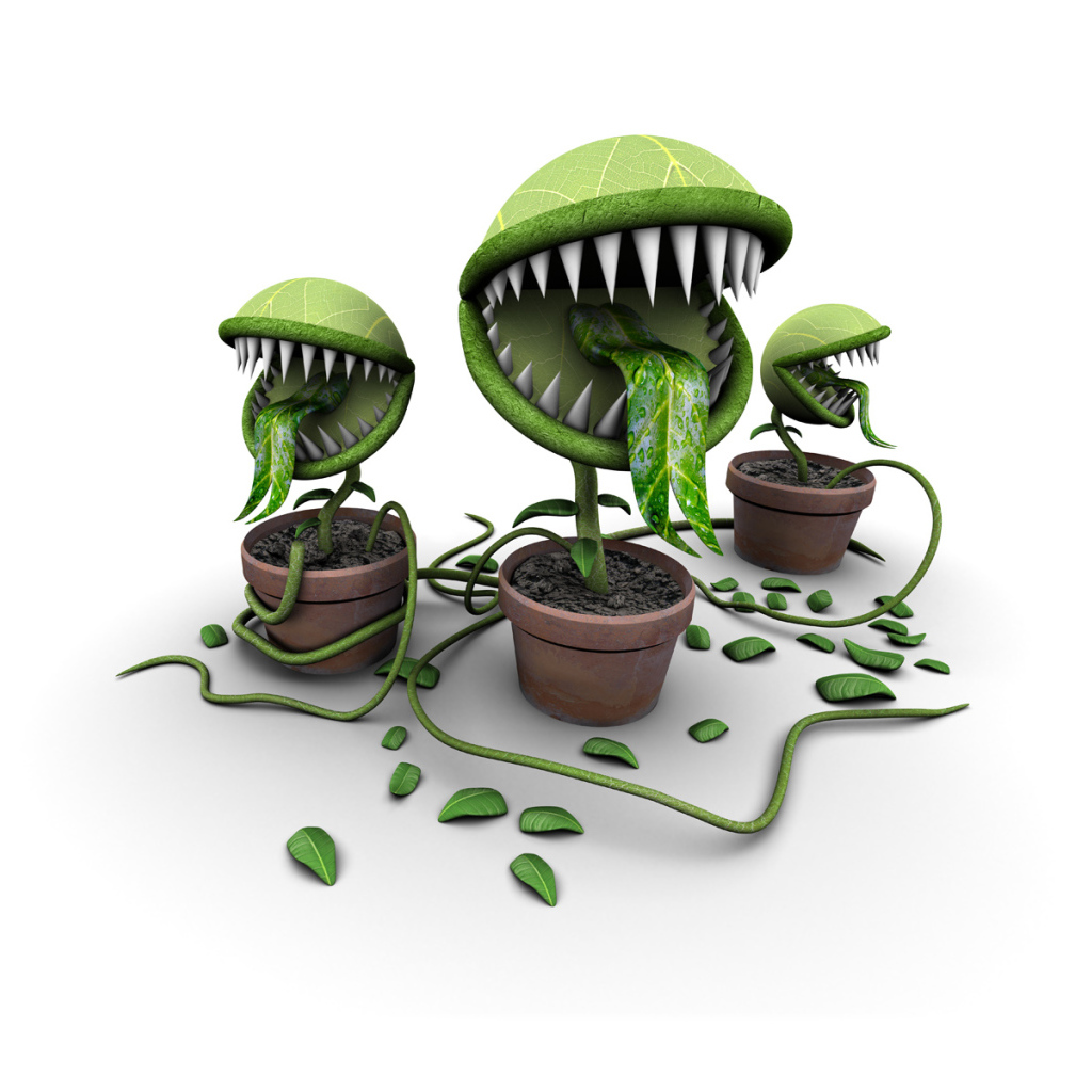 Покорми меня