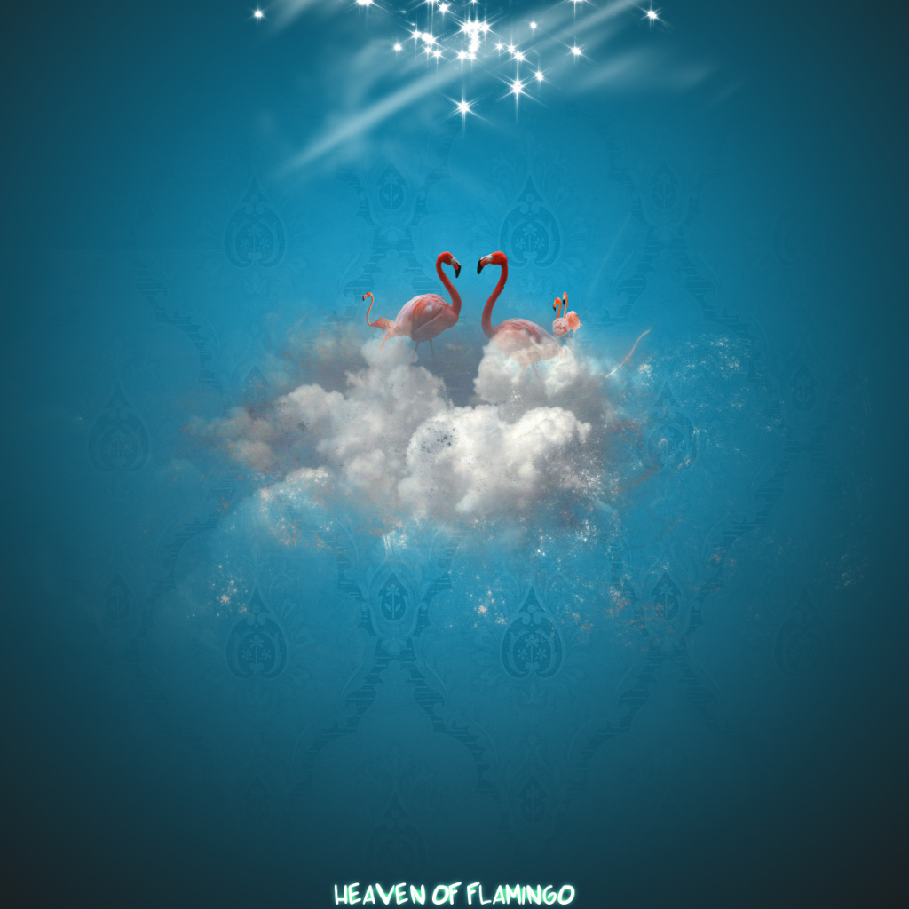 Рай фламинго