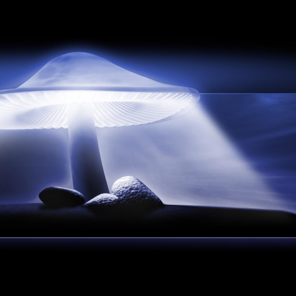 Защитный свет