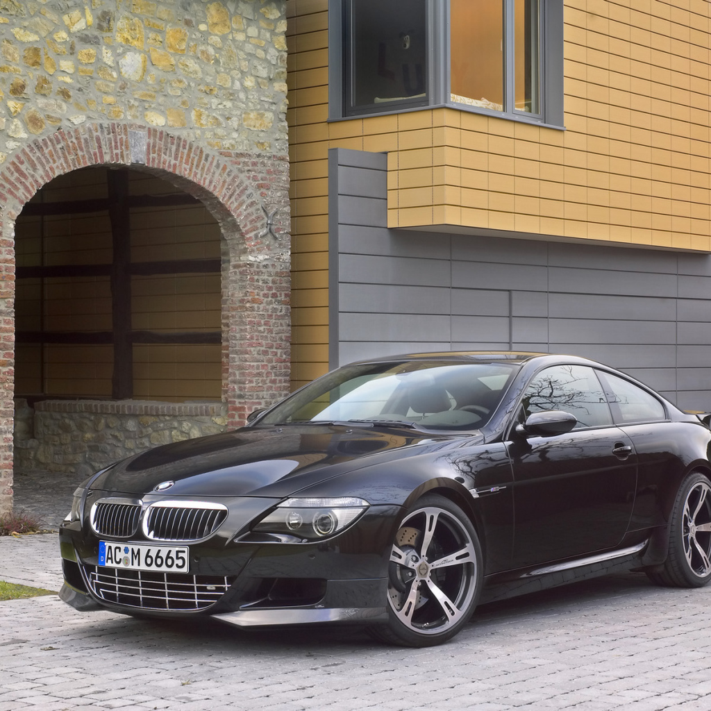 Schnitzer 2006 Вид спереди