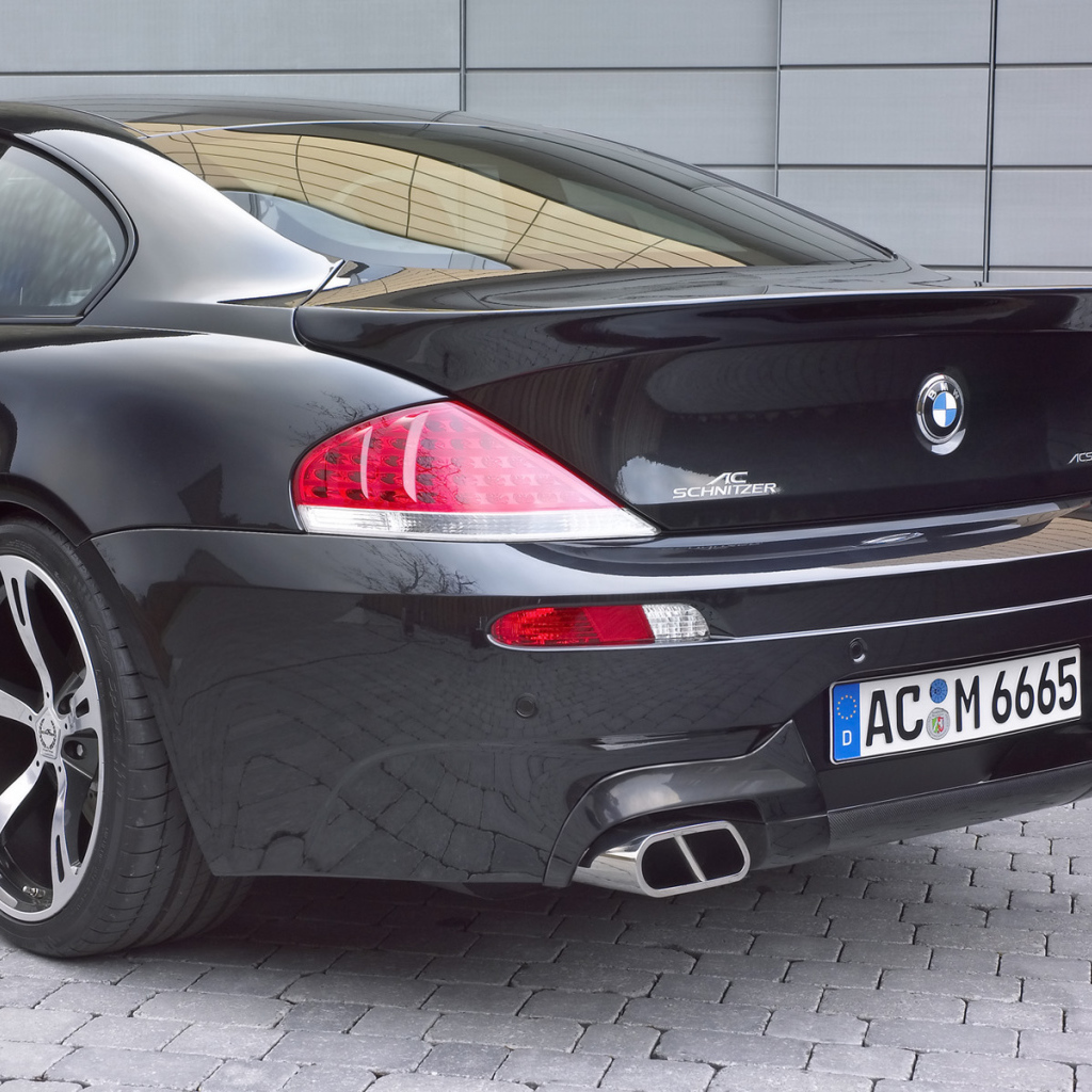 Schnitzer 2006 Вид сзади