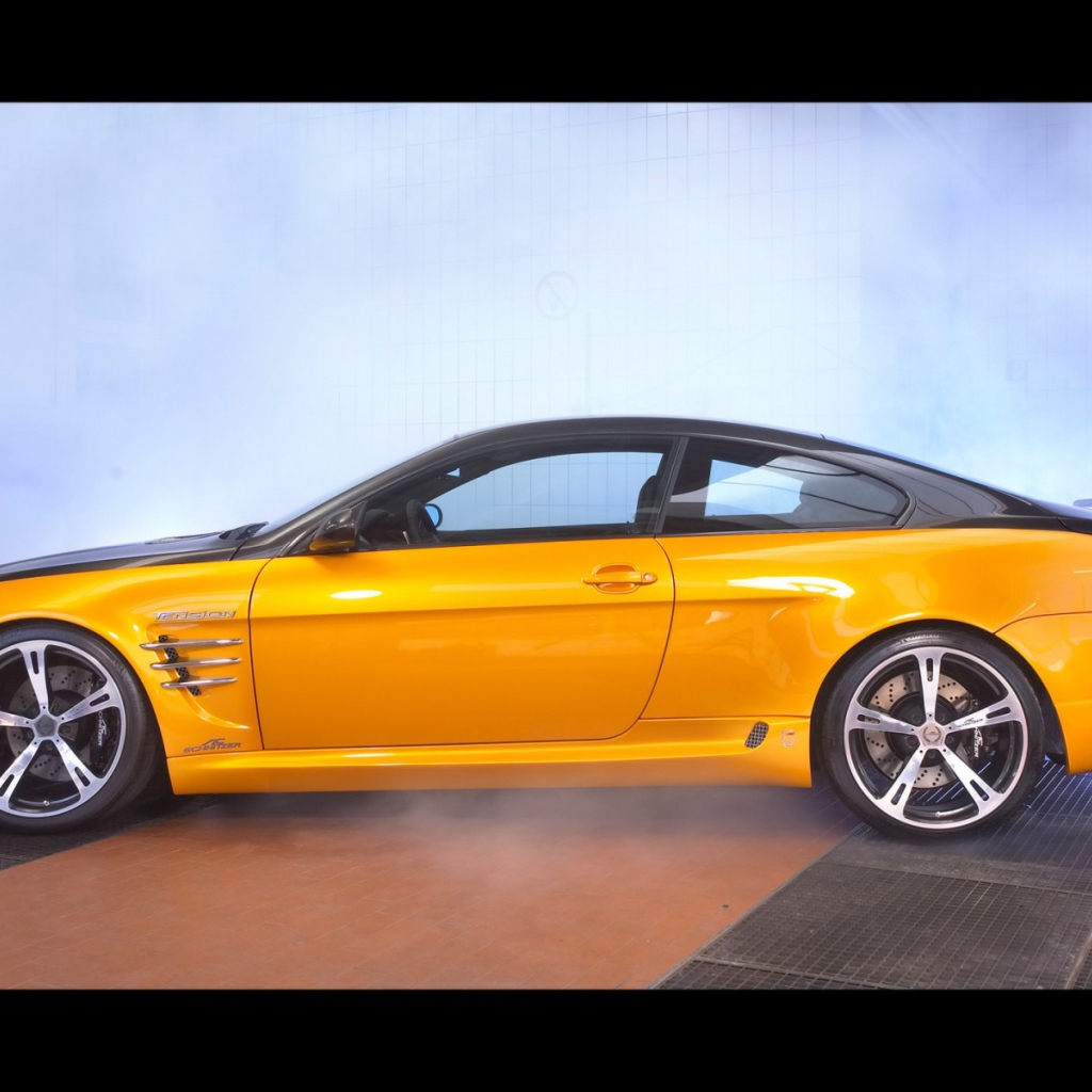 Schnitzer желто черный вид сбоку