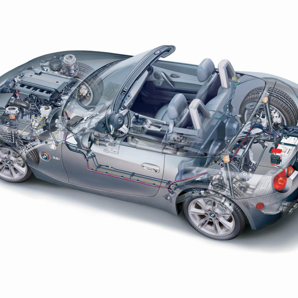 Z4 Organic рисунок