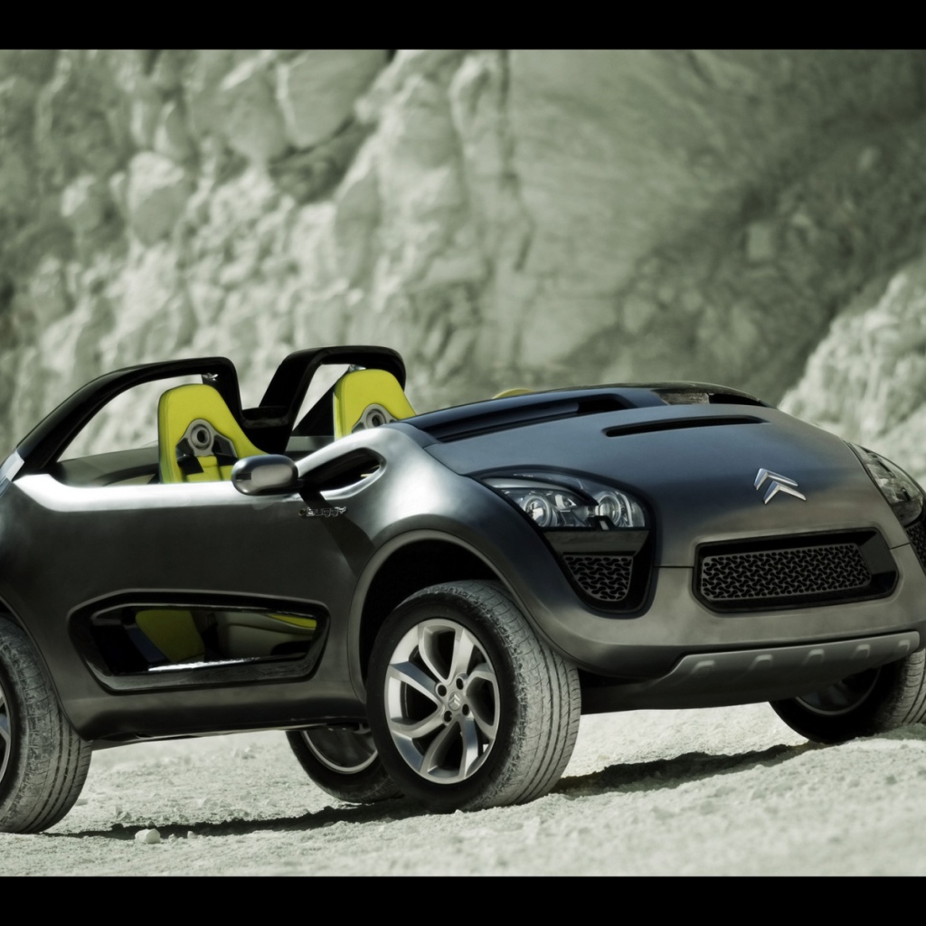 Ситроен Buggy