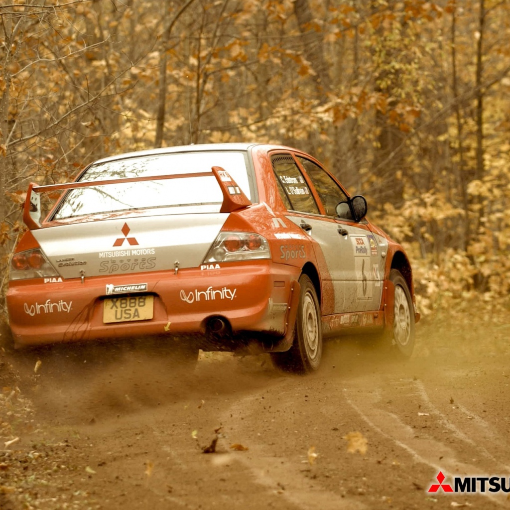 Mitsubishi ралли