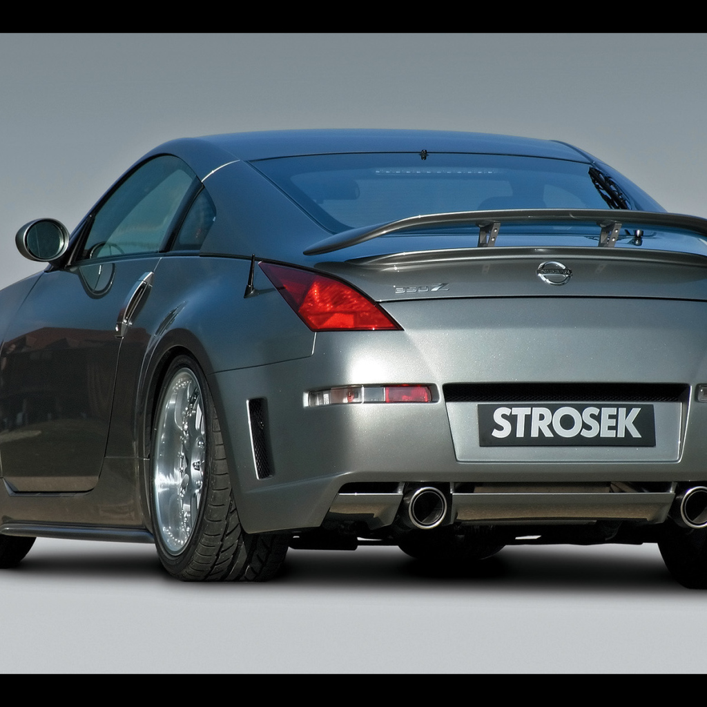 Strosek Nissan задний вид