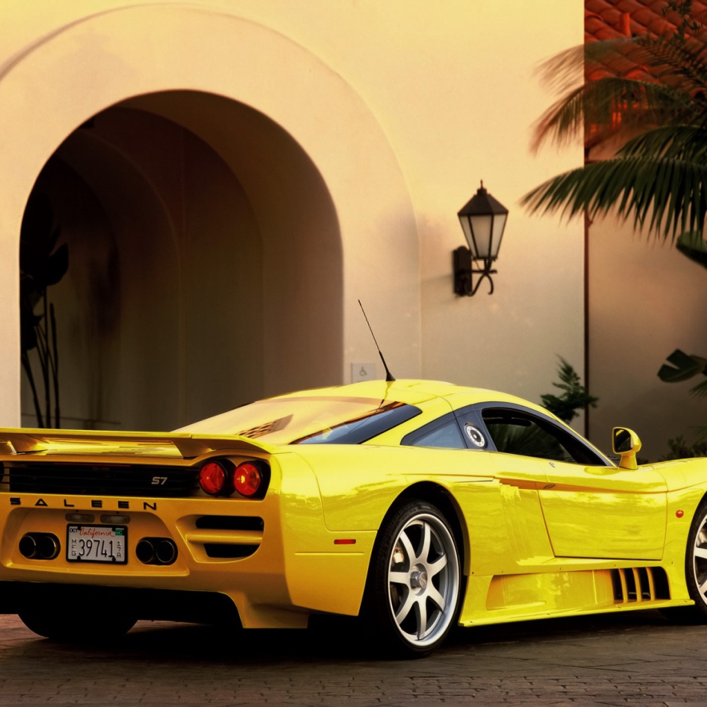 Saleen вид сзади