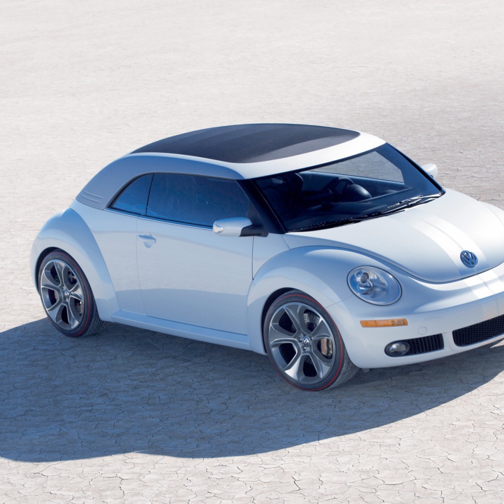 Volkswagen жук