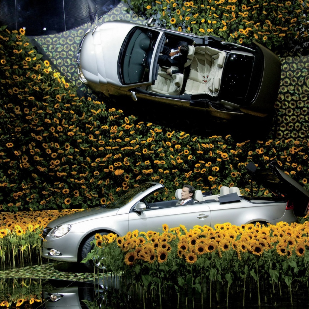 Volkswagen в цветах