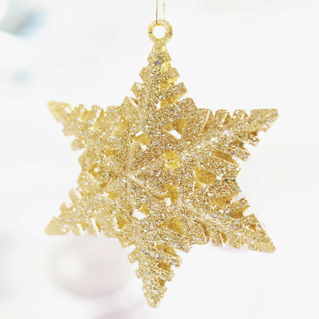 Рождественская звездочка