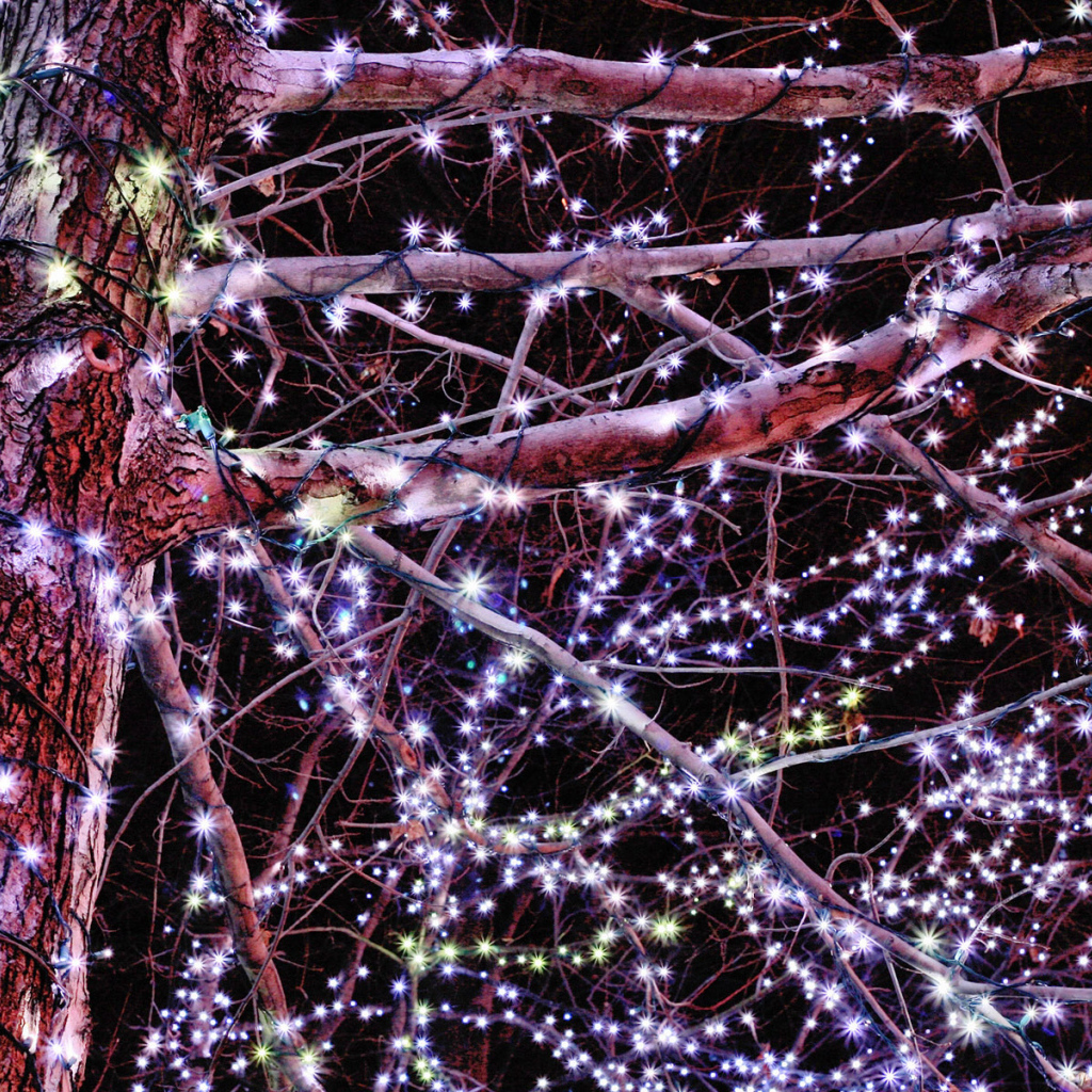 Гирлянды / Рождество