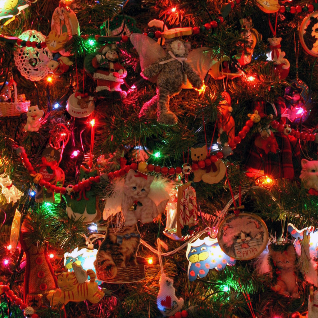 Праздник / Рождество