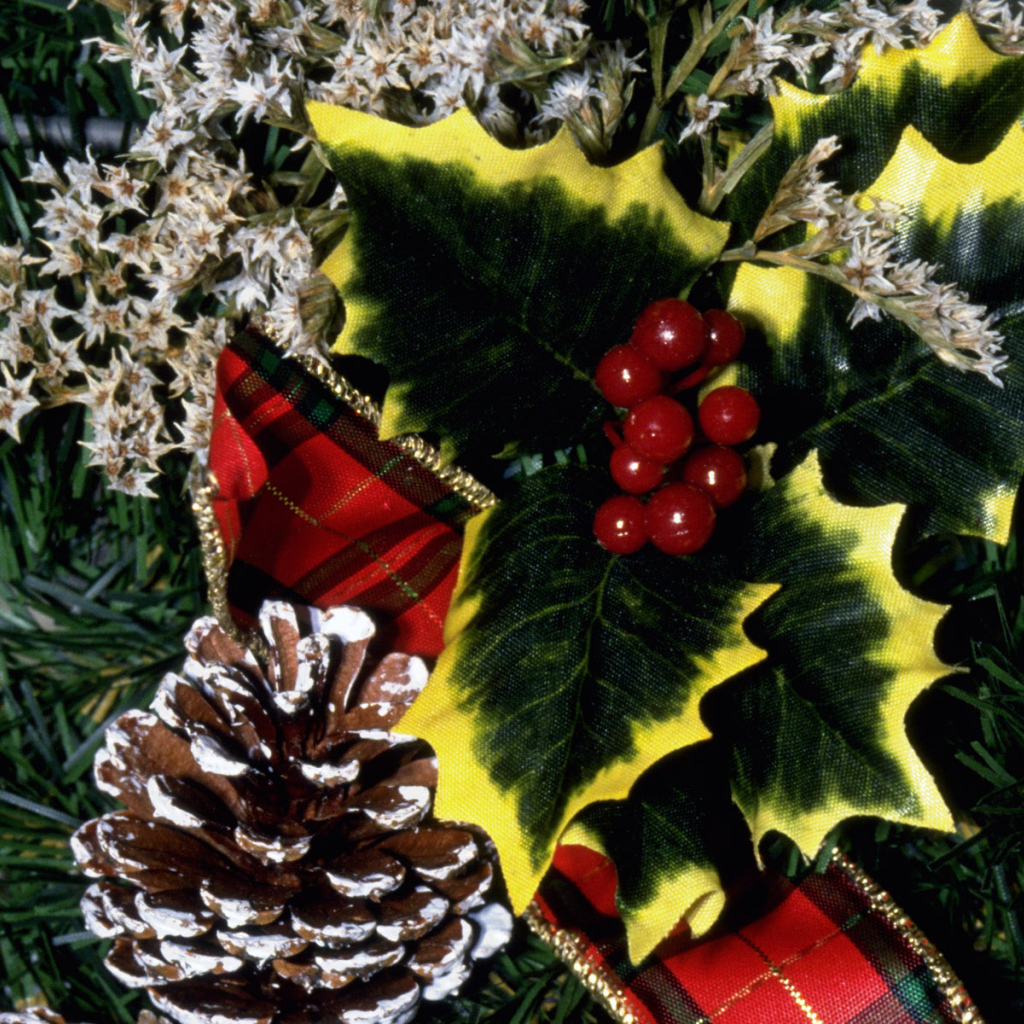 Праздничная ель / Рождество