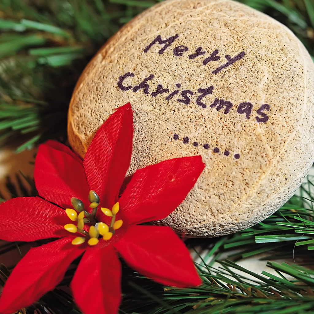 С праздником / Рождество