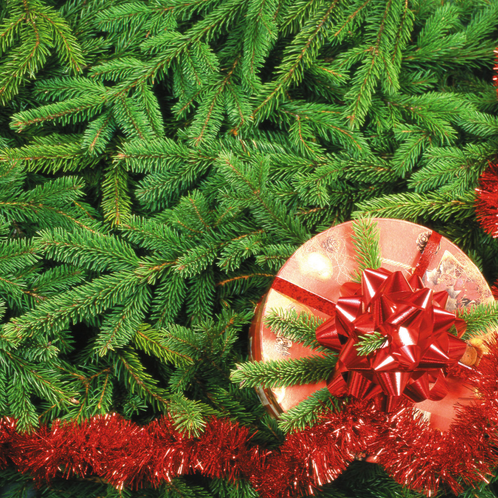 Подарок на Рождество / Рождество