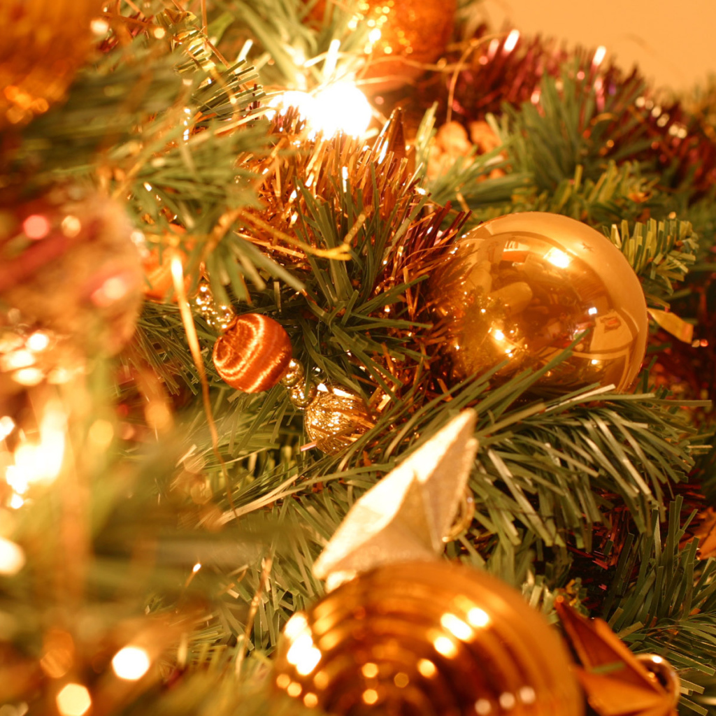 Дух Рождества / Рождество