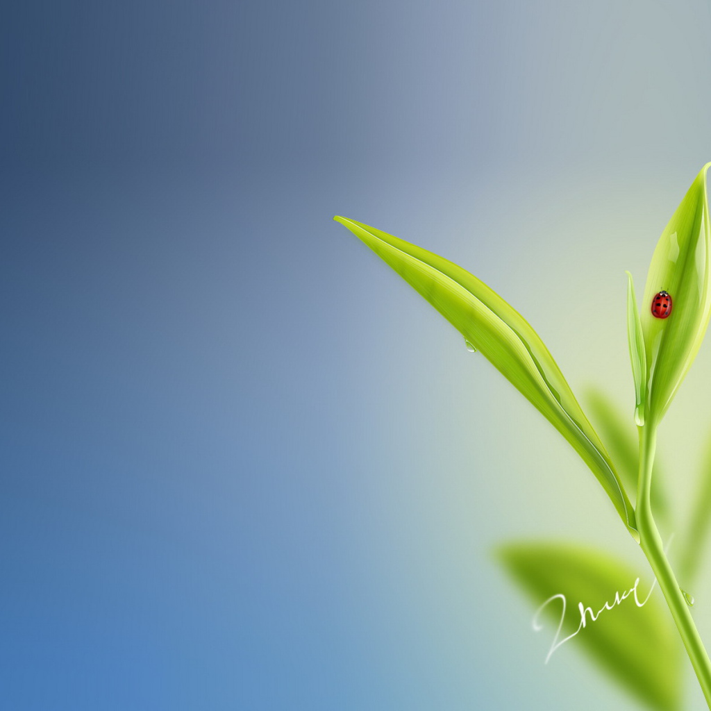 Божья коровка