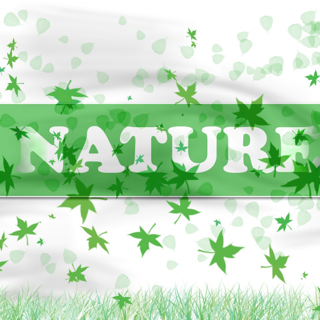 В натуре - природа