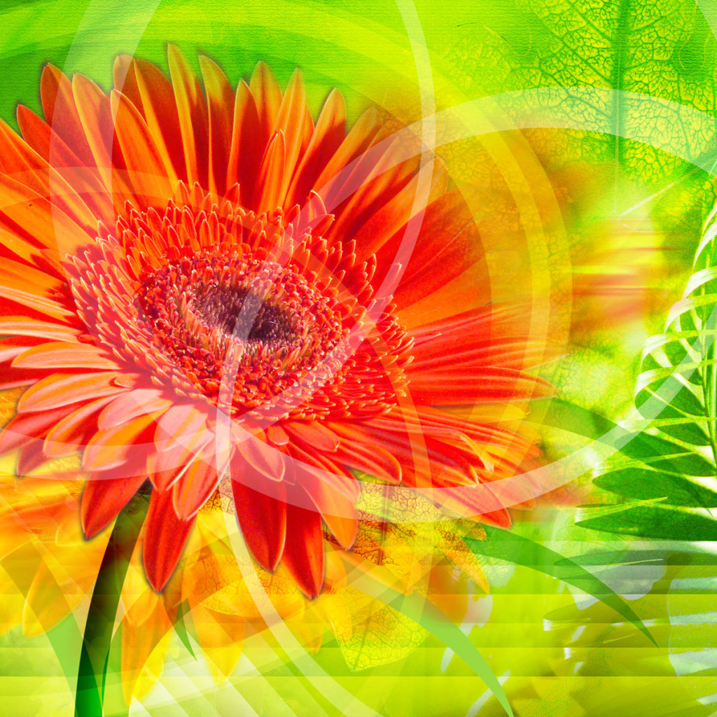 Красное сияние