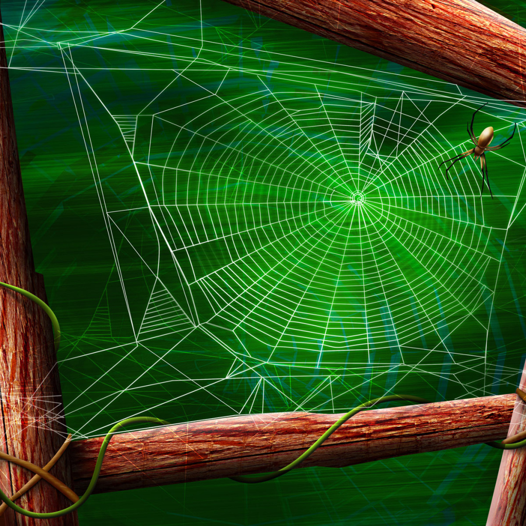 Паук и паутина
