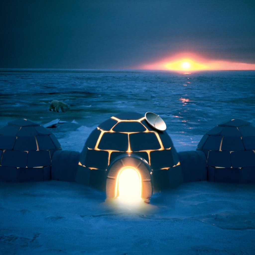 Хай тек иглу