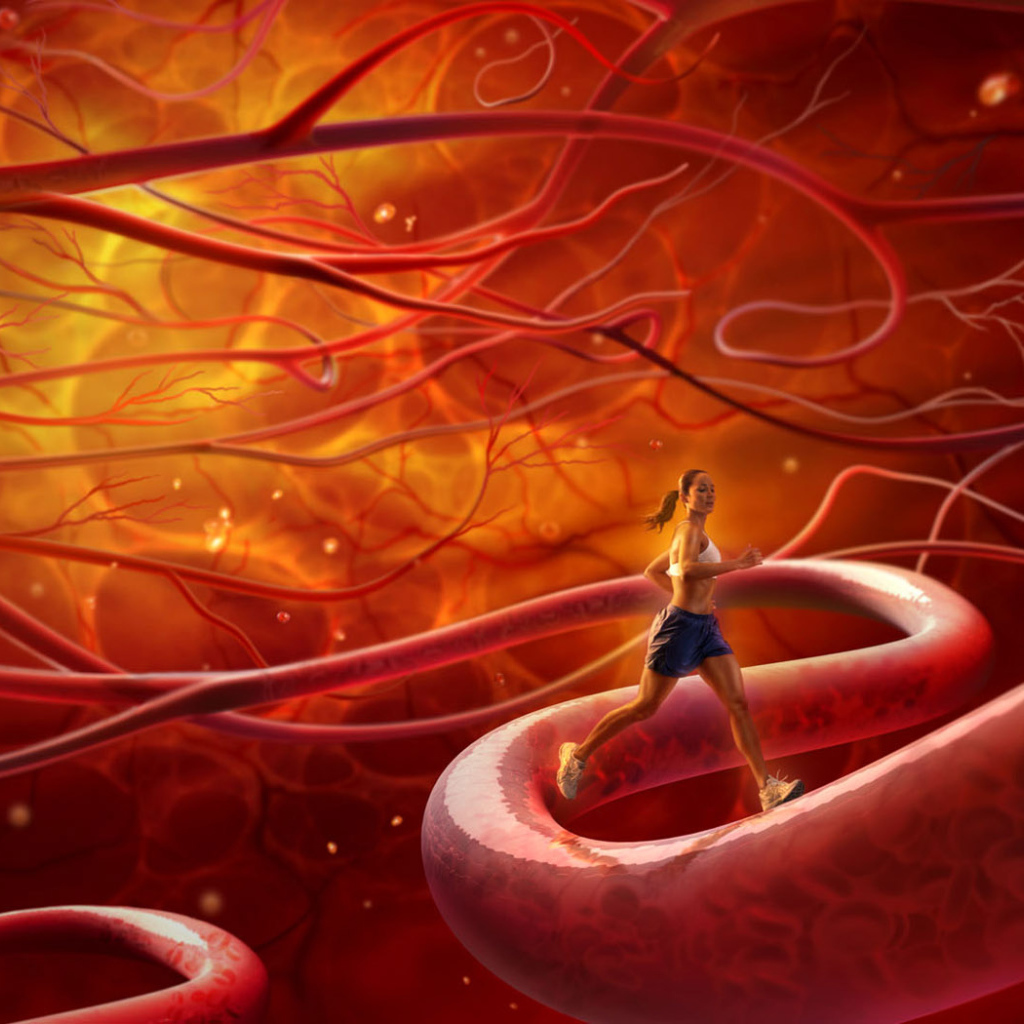 Тренировка