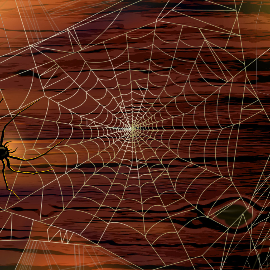 Хэллоуин / Паутина