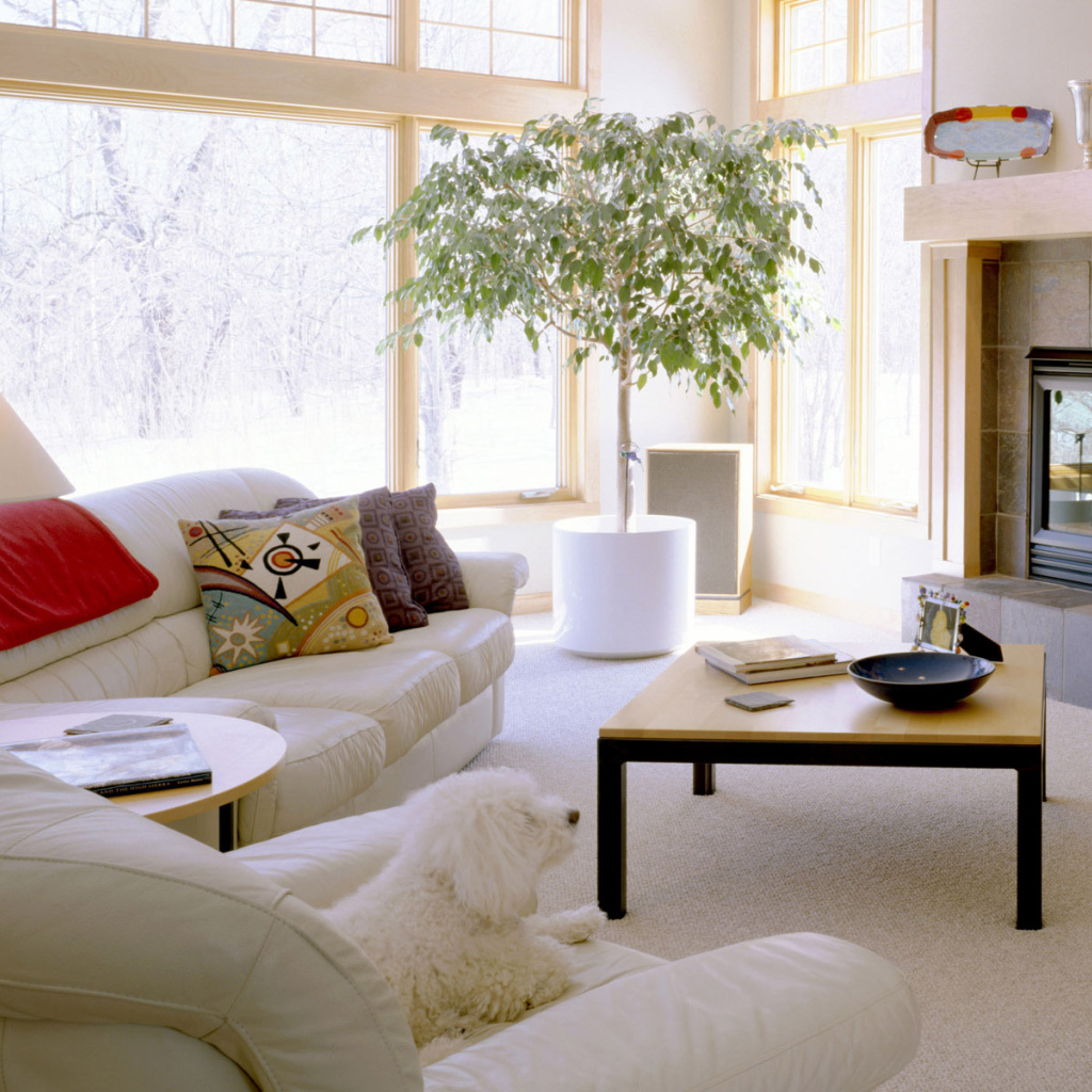 Комната отдыха с иллюминацией