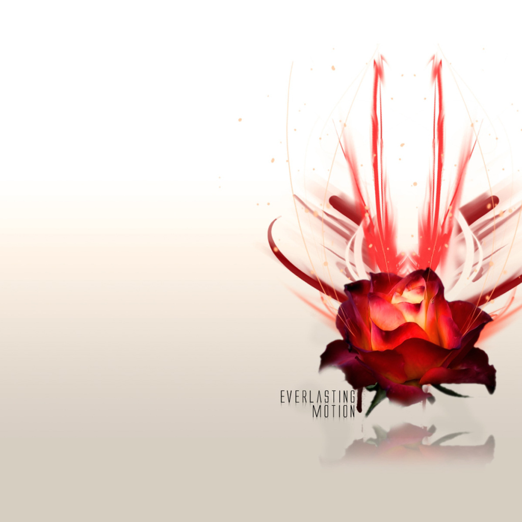 Розы для любимой