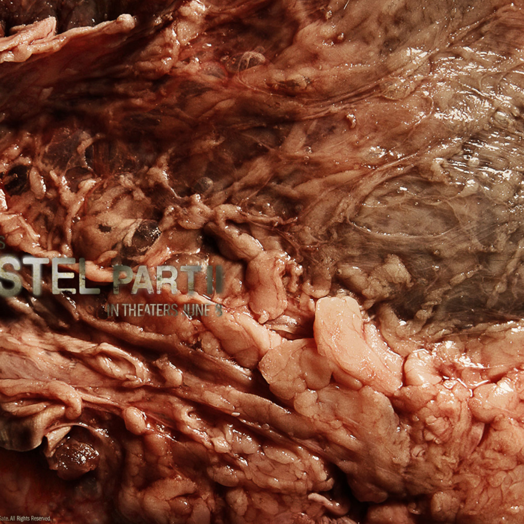 Хостел 2 / Hostel 2