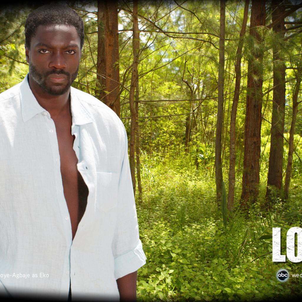 Остаться в живых / Сериал потерянные / LOST / Эко