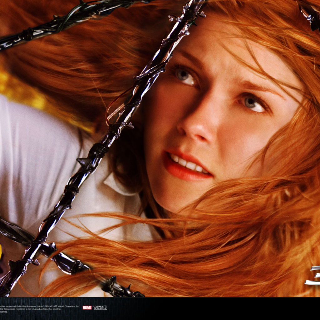 Человек-паук. Враг в отражении / Spider-Man 3