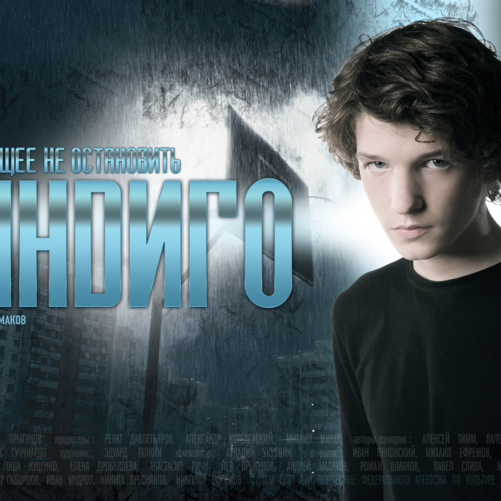 Индиго / Роман Шмаков