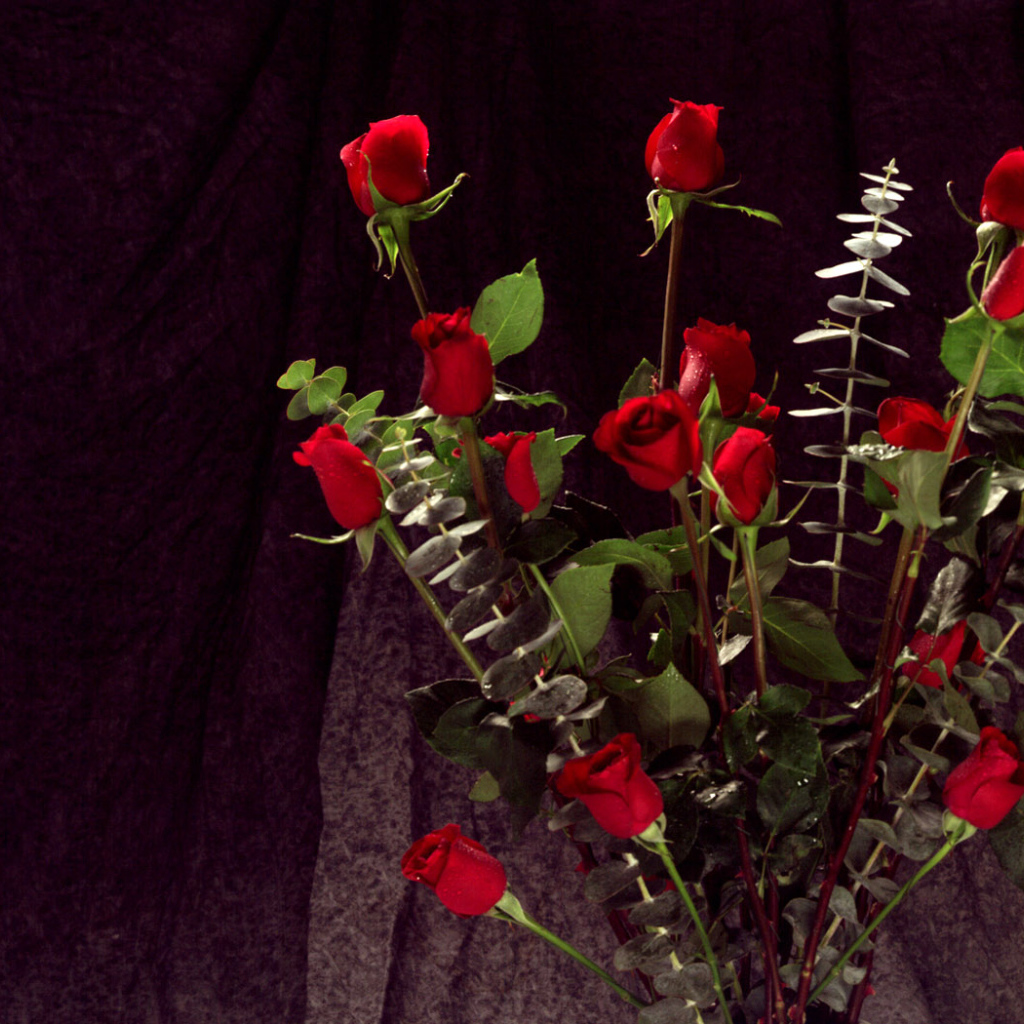 Связка красных роз, Цветов