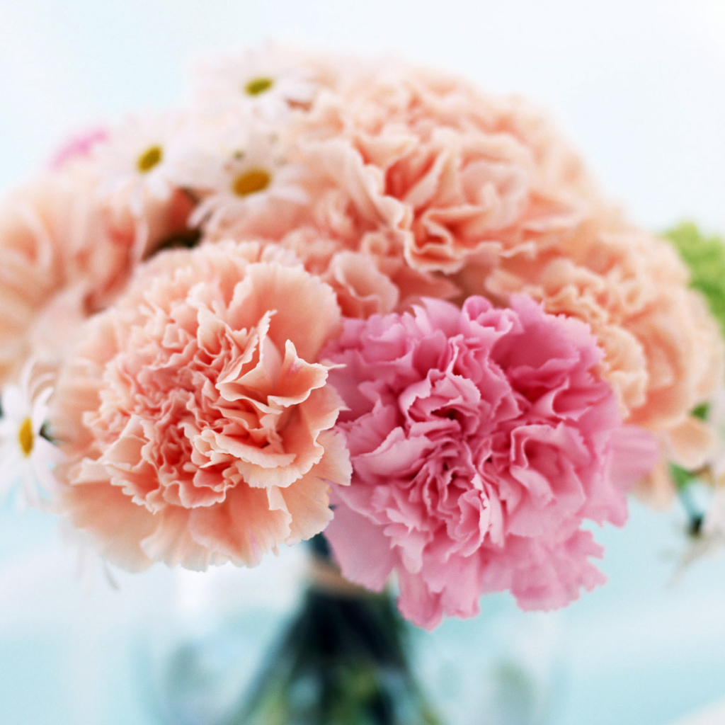 Домашний букет, Цветы