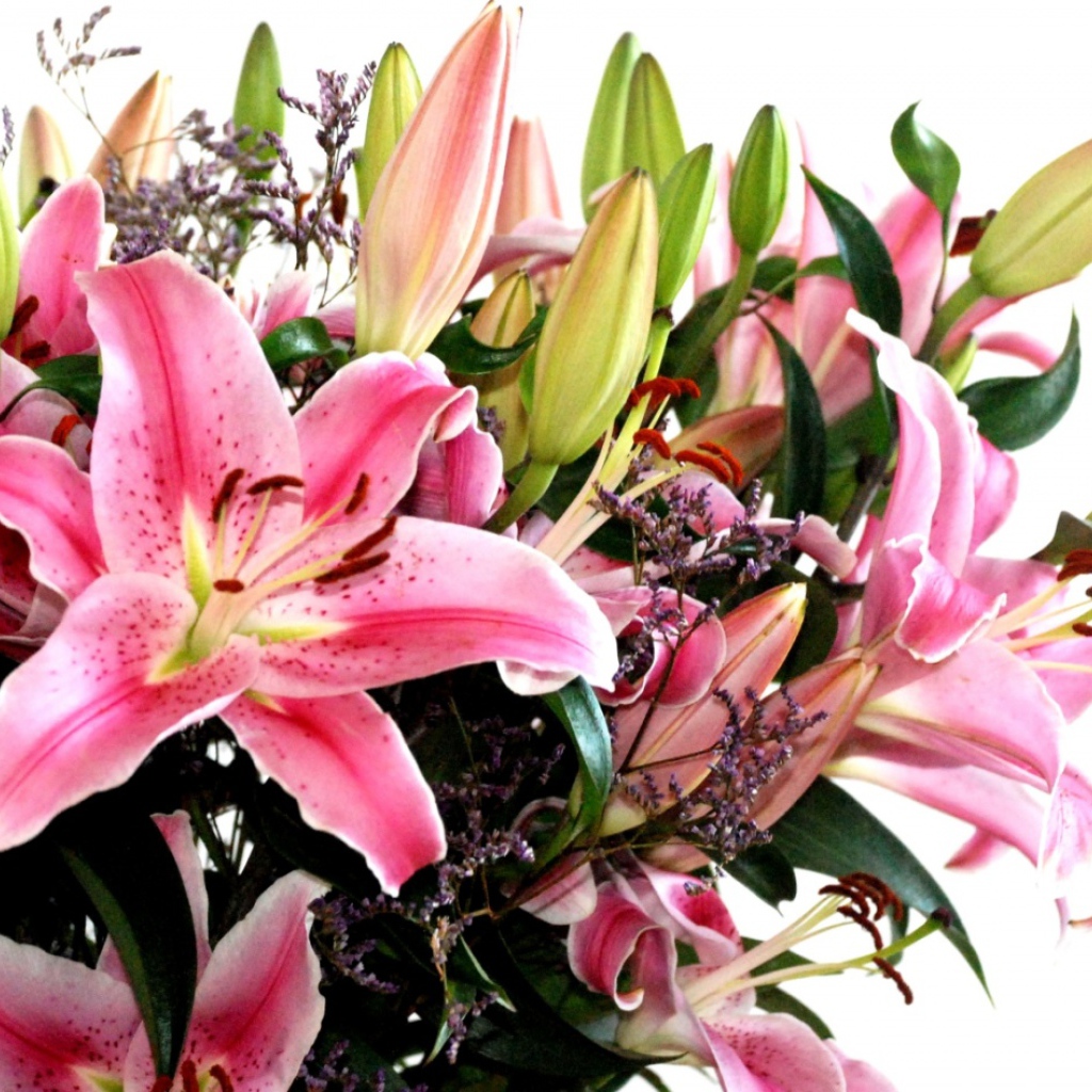 Хороший, Цветы