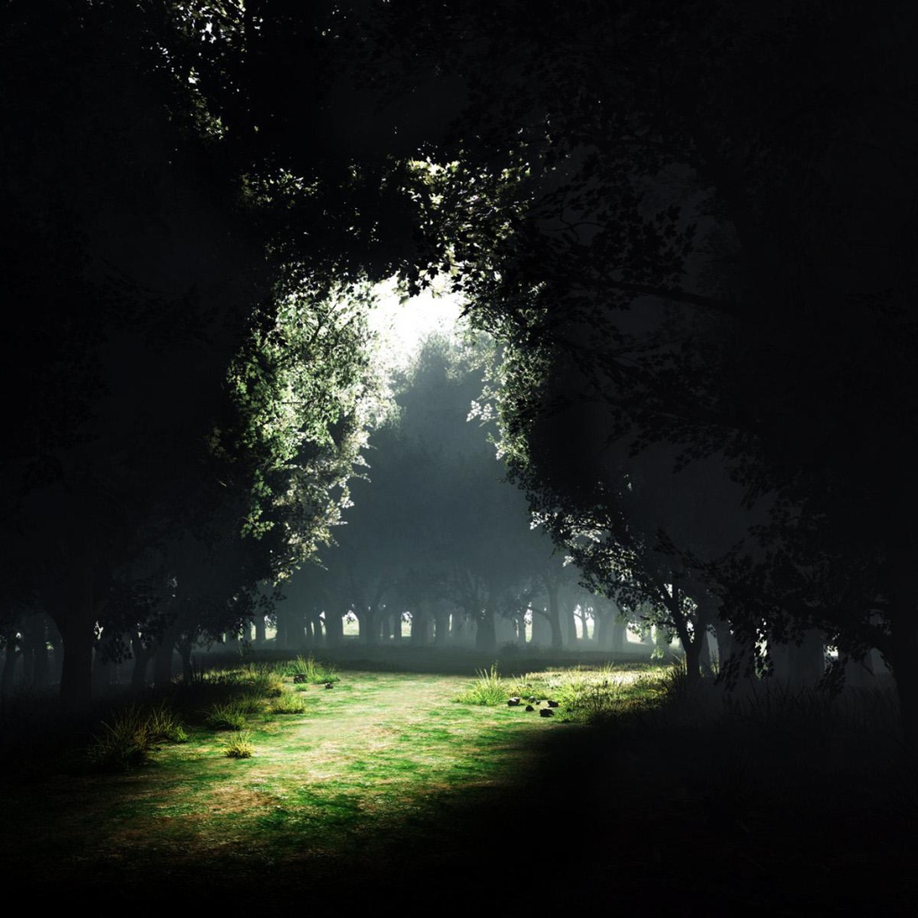 Просвет Темного леса