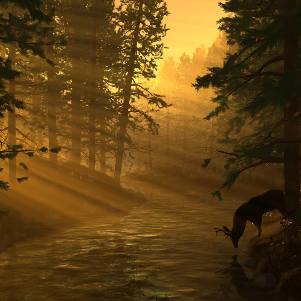 Лесная река